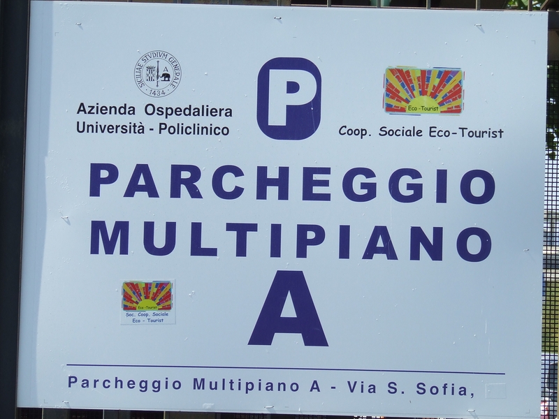 DSCF0930
